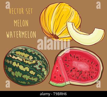 Vector Illustration von Melone und Wassermelone. Saftige helle Obst und Beeren.eps 10. Stock Vektor