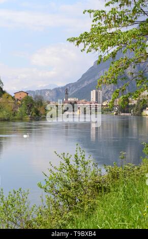 Schöner Frühling Blick auf den Fluss Adda, fließt aus dem Comer See, in der Nähe von Lecco, Natur und zwei weißen Schwan schwimmen. Stockfoto