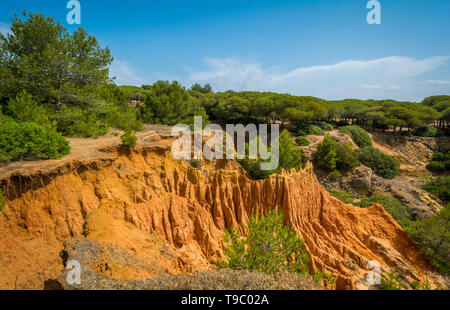 Felsformationen im Praia da Falesia, in der Nähe von Albufeira. Algarve, Portugal. Stockfoto