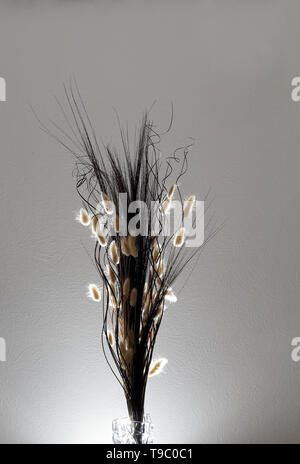 Getrocknete Blumen in Vase auf weißem Hintergrund Stockfoto