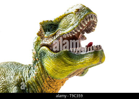 Tyrannosaurus rex Kunststoff Figur Nahaufnahme auf weißem Hintergrund Stockfoto