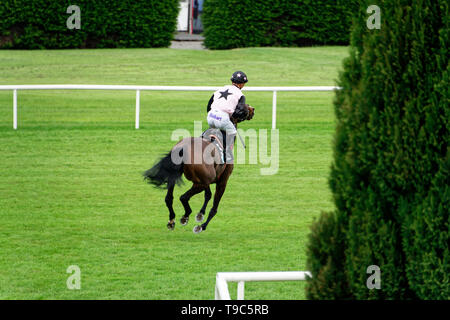 Leoprdstwn Damen Abend am 17. Mai 2019, Pferderennen, Rennbahn Leopardstown, Dublin, Irland. im Rennen um die Ziellinie. Stockfoto