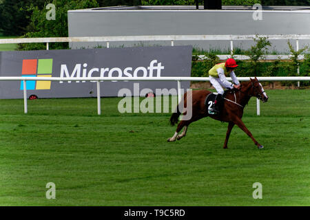 Leoprdstwn Damen Abend am 17. Mai 2019, Pferderennen, Rennbahn Leopardstown, Dublin, Irland. im Rennen um die Ziellinie. Stockfoto