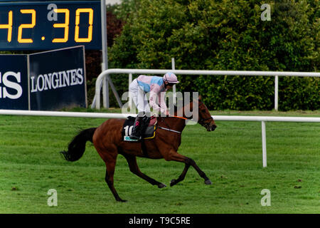 Leoprdstwn Damen Abend am 17. Mai 2019, Pferderennen, Rennbahn Leopardstown, Dublin, Irland. im Rennen um die Ziellinie. Stockfoto