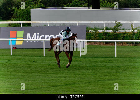 Leoprdstwn Damen Abend am 17. Mai 2019, Pferderennen, Rennbahn Leopardstown, Dublin, Irland. im Rennen um die Ziellinie. Stockfoto