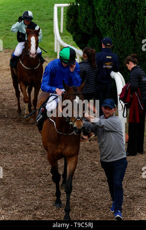 Leoprdstwn Damen Abend am 17. Mai 2019, Pferderennen, Rennbahn Leopardstown, Dublin, Irland. im Rennen um die Ziellinie. Stockfoto