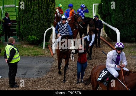 Leoprdstwn Damen Abend am 17. Mai 2019, Pferderennen, Rennbahn Leopardstown, Dublin, Irland. im Rennen um die Ziellinie. Stockfoto