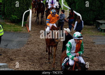 Leoprdstwn Damen Abend am 17. Mai 2019, Pferderennen, Rennbahn Leopardstown, Dublin, Irland. im Rennen um die Ziellinie. Stockfoto