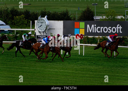 Leoprdstwn Damen Abend am 17. Mai 2019, Pferderennen, Rennbahn Leopardstown, Dublin, Irland. im Rennen um die Ziellinie. Stockfoto