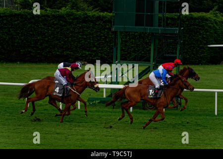 Leoprdstwn Damen Abend am 17. Mai 2019, Pferderennen, Rennbahn Leopardstown, Dublin, Irland. im Rennen um die Ziellinie. Stockfoto