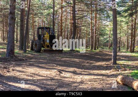 Bulldozer unter den Bäumen des Waldes nach forstwirtschaftliche Arbeiten bei Sonnenuntergang Stockfoto