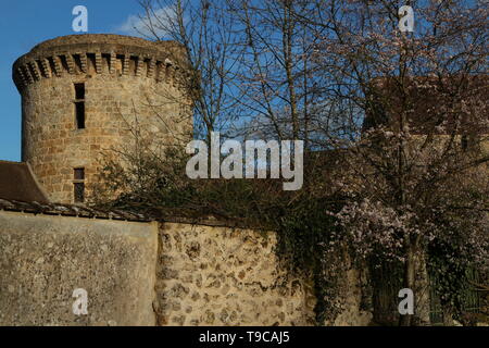 Chateau de la Madeleine-Chevreuse-Yvelines - Ile-de-France - Frankreich Stockfoto