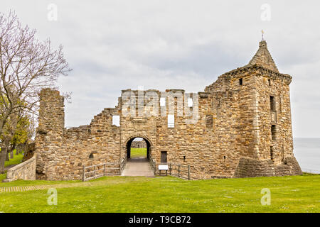 St Andrews Castle in St Andrews, Schottland Stockfoto