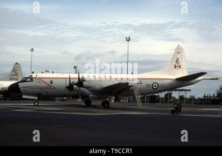 RCAF Royal Canadian Air Force Lockheed CP-140 Aurora Stockfoto