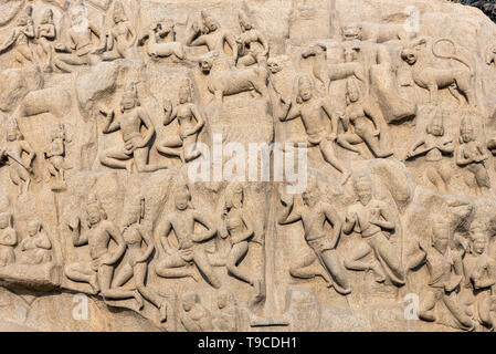 Detail von arjunas Buße (oder Abstieg des Ganges) open-air-rock Relief, Mahabalipuram (mamallapuram), Indien Stockfoto