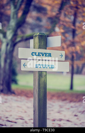 Retro-Stil Bild ein Schild in einem Park oder Waldgebiet mit Pfeilen zeigen zwei entgegengesetzte Richtungen in Richtung Clever und dämlich. Stockfoto