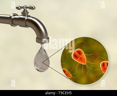 Sicherheit von Trinkwasser, konzeptionelle Darstellung Stockfoto