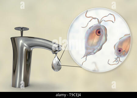 Sicherheit von Trinkwasser, konzeptionelle Darstellung Stockfoto