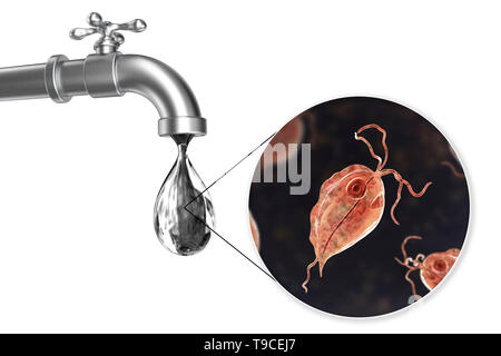 Sicherheit von Trinkwasser, konzeptionelle Darstellung Stockfoto