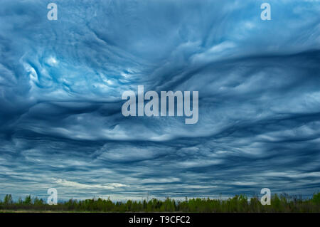 Asperitas Wolken (früher bekannt als Undulatus asperatus) über Lake Superior Sault Ste Marie Ontario Kanada Stockfoto