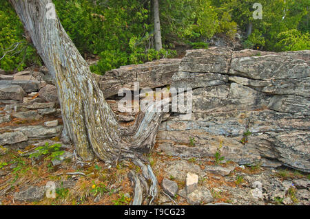 Kalksteinfelsen entlang der Georgian Bay (Lake Huron) an in der Mitte Log Dump, Bruce Peninsula, Bruce Peninsula National Park, Ontario, Kanada Stockfoto