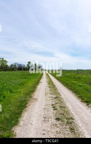 Wanderwege rund um Midewins Tallgrass Prärie in Wilmington, Illinois, an einem schönen Frühlingstag Stockfoto