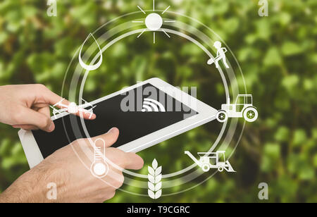 Smart Farming, Mann mit digitalen Tablette im Feld Stockfoto