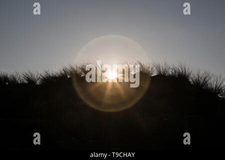 Unter der Morgen (oder Abend) Sky die sandigen Dünen silhouetted, eingesäumt durch ihre stacheligen Gras, die Sonne bricht sich hinter Ihnen. Stockfoto