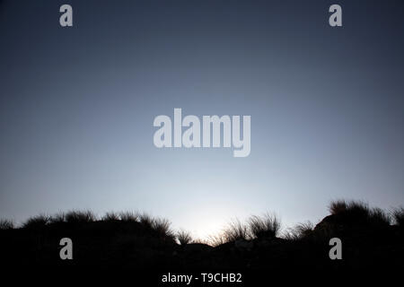 Unter der Morgen (oder Abend) Sky die sandigen Dünen silhouetted, eingesäumt durch ihre stacheligen Gras. Stockfoto