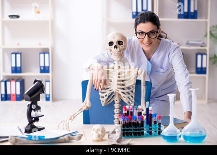 Junge weibliche Archäologe im Labor arbeiten Stockfoto