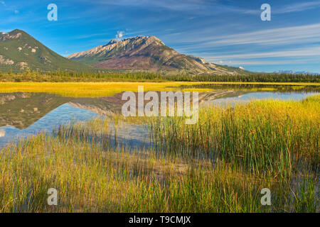 Jasper Lake Jasper National Park, Alberta, Kanada Stockfoto