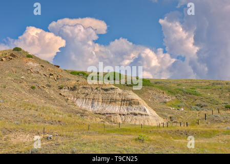 Badlands an einem klaren Tag mit Puffy cumulus Wolken in der Nähe der Kaiserin, Alberta, Kanada Stockfoto