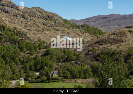 Jacobite Steam Train mit Dampf reisen durch die Bäume und die Landschaft der schottischen Highlands mit Bergen und Himmel in der Ferne. Stockfoto