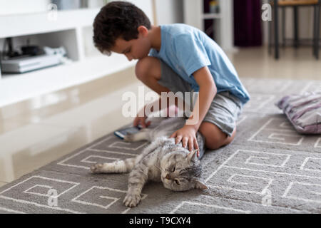 Junge Anschläge eine niedliche Britische Katze, sitzen auf dem Boden und spielen das Telefon Stockfoto