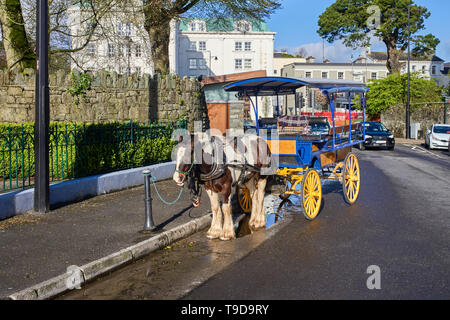 Pferdekutschen jaunting Auto oder jarvey wie bekannt ist Warten auf Passagiere in Killarney, Irland Stockfoto