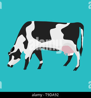 Weiße und schwarze Kuh mit Flach- und Farbe Design. Stockfoto