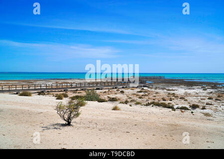 Hamelin Pool Marine Nature Reserve ist ein geschützter marine Nature Reserve in die UNESCO-Liste der Shark Bay Stockfoto