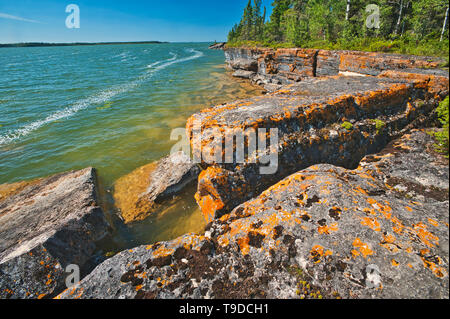 Flechten bedeckt Kalkstein Felsen am Ufer des Sees Rocky Rocky Lake Manitoba Kanada Stockfoto