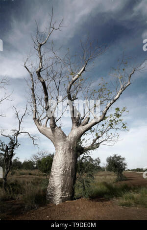 Boab Bäume sind ein vertrauter Anblick in der nord-westlichen Bereich des Kimberley-Prozesses in Australien, hier am Great Northern Highway in der Nähe von Broome. Stockfoto