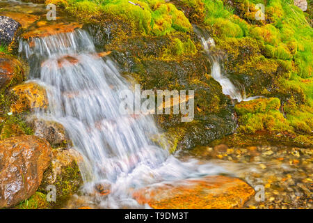 Creek und kleinen Wasserfall entlang des Bow Valley Trail Banff National Park, Alberta, Kanada Stockfoto