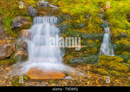 Creek und kleinen Wasserfall entlang des Bow Valley Trail Banff National Park, Alberta, Kanada Stockfoto