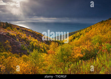 Acadian Wald im Herbst Laub entlang des Cabot Straße am Cape Smokey, Cape Breton Highlands National Park, Nova Scotia, Kanada Stockfoto