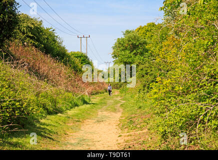 Eine Dame Hund gehen auf die Weber Weg lange Entfernung Wanderweg in der Landschaft von Norfolk auf Felmingham, Norfolk, England, Vereinigtes Königreich, Europa. Stockfoto