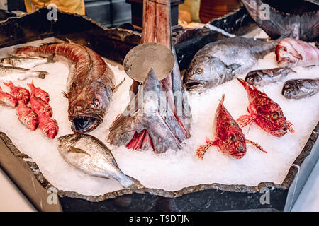 Frische Meeresfrüchte auf Crushed Eis am Fischmarkt. Frischer Fisch Kopf mit geöffnetem Rachen. Viele Sorten von frischem Fisch und Meeresfrüchten - die beste Wahl für gesunde e Stockfoto