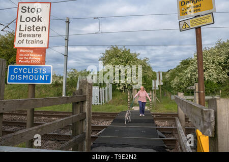 Frauen, die über eine Bahnstrecke Kreuzung mit pet-Whippet. Stockfoto