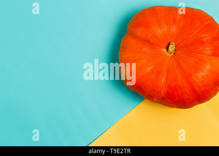 Schöne bunte blauer und gelber Hintergrund mit Reifen orange Kürbis mit Kopie Platz für Text. Herbst Layout für Werbung, Halloween und Urlaub Stockfoto