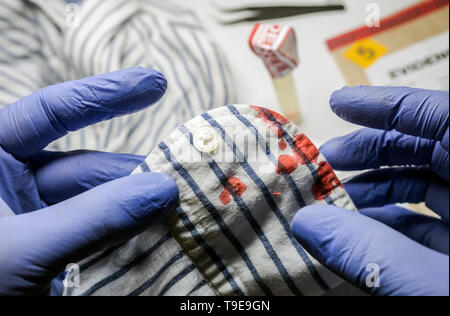 Polizei Experte untersucht Blut in einer Schaltfläche aus einem Hemd zum Schauplatz eines Verbrechens Stockfoto