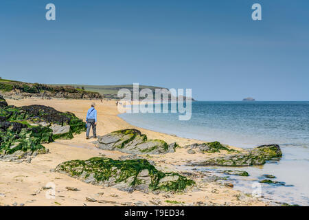 Einen schönen frischen Frühling Tag am Strand, Kamel Mündung Padstow in Cornwall. Golden Sands mit blauem Himmel und Meer, grüne Seegras und Algen auf den Felsen. Stockfoto