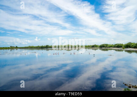 Blick über Wasser, Feuchtgebiete mit Spiegel Reflexion von Himmel und Wolken Stockfoto