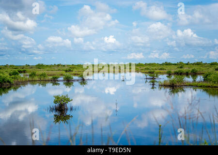 Blick über Wasser, Feuchtgebiete mit Spiegel Reflexion von Himmel und Wolken Stockfoto